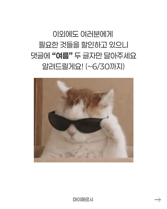 보르베 전상품 5