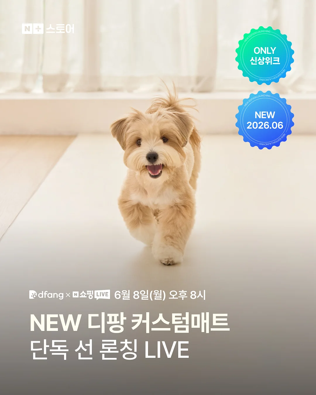 사각형 넓이 공식 1