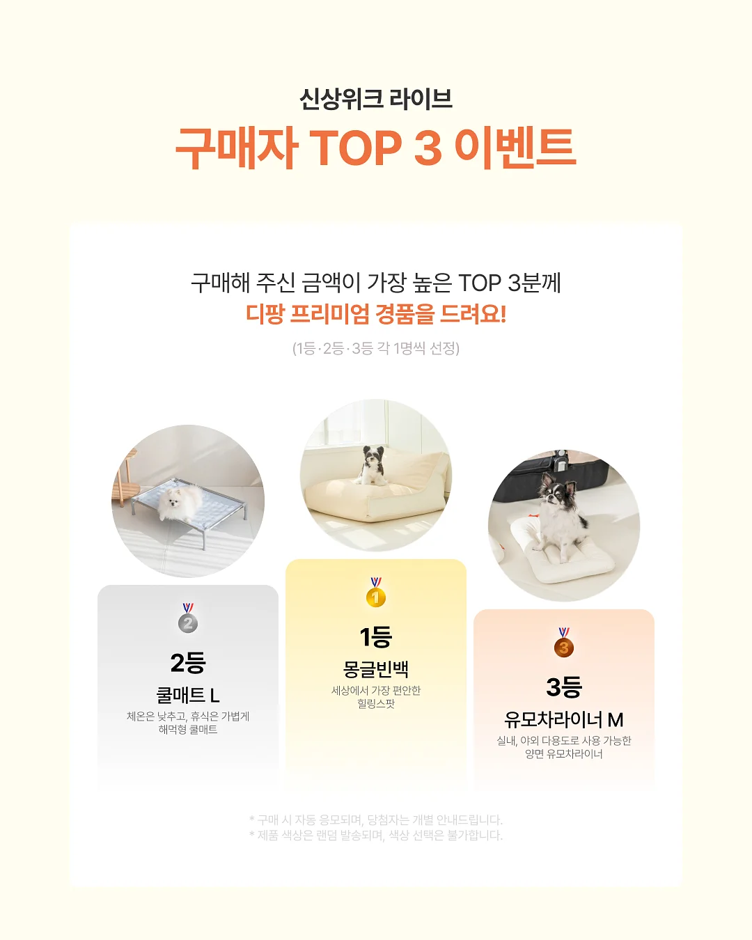 사각형 넓이 공식 4