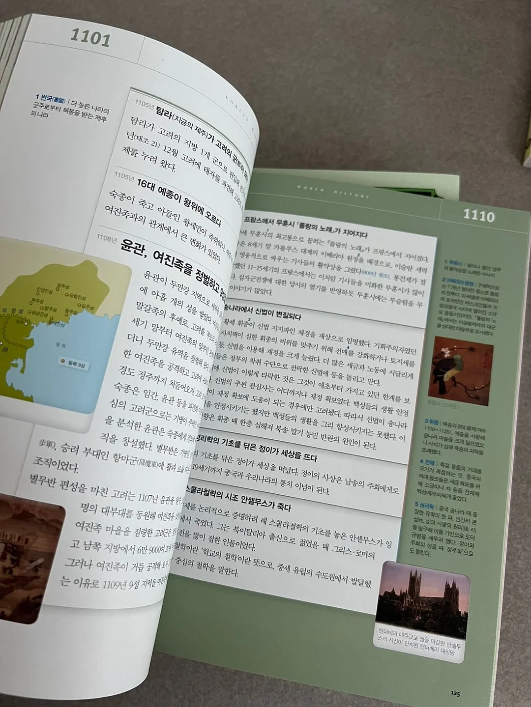 냥무원 젤펜 10