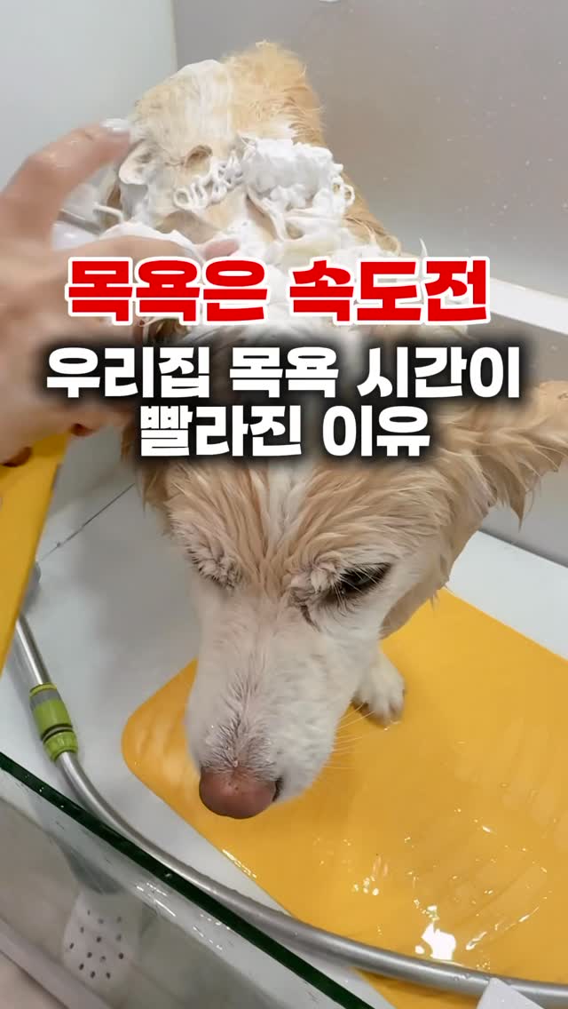 엘라비아 S6 침대 + 제롬 매트리스