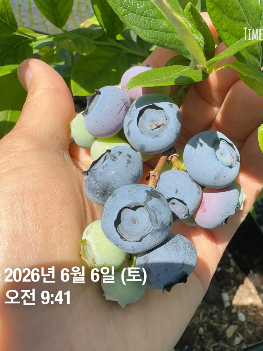 초등 어휘력 한자 5
