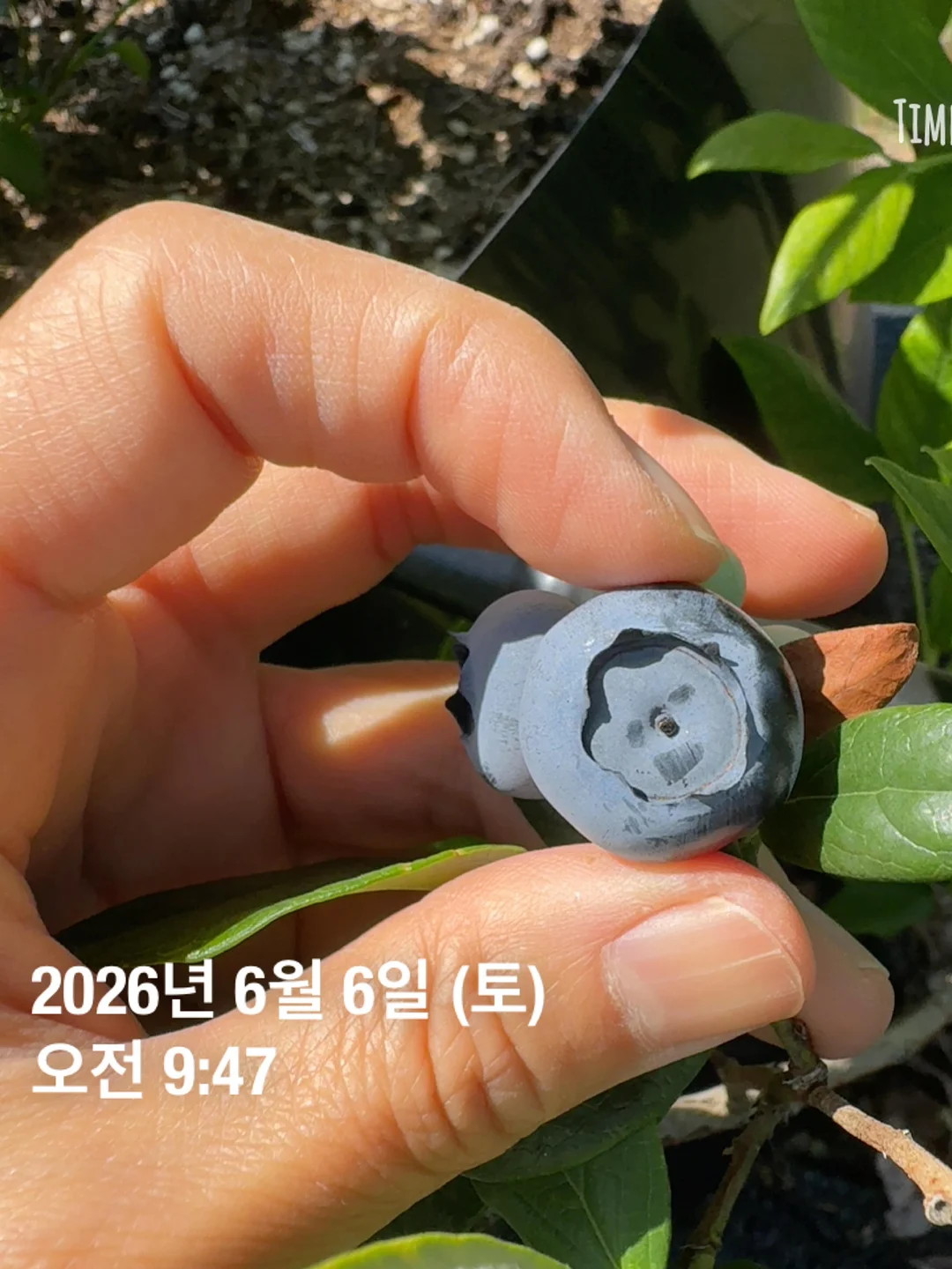 초등 어휘력 한자 6