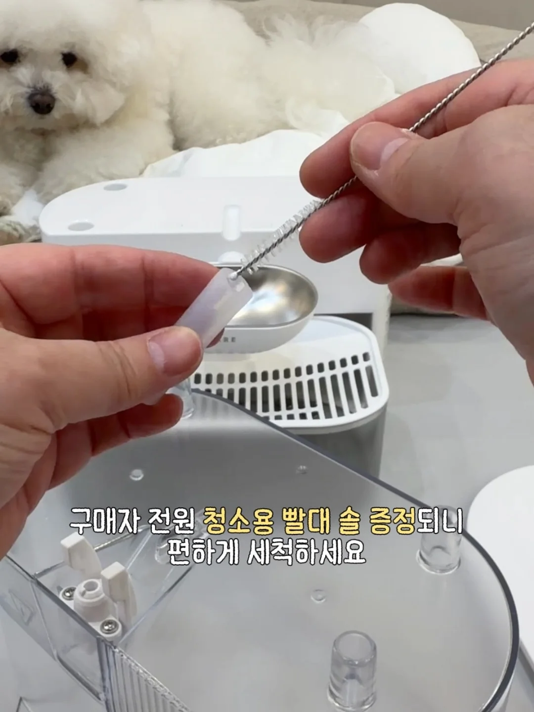 시스루 양말 20