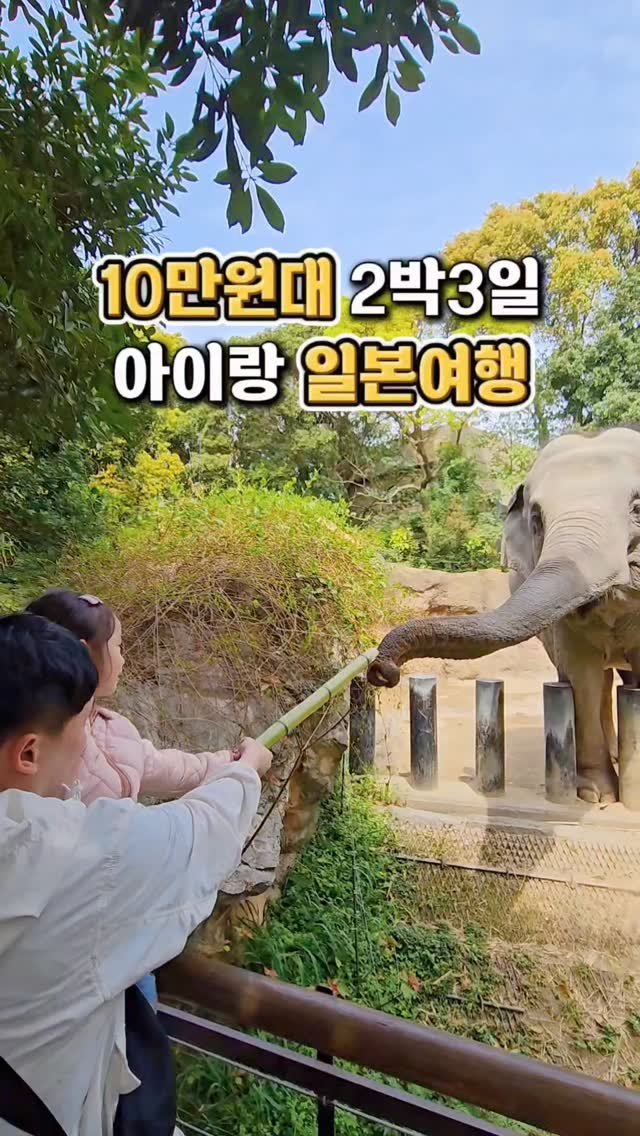 여름 와이드팬츠