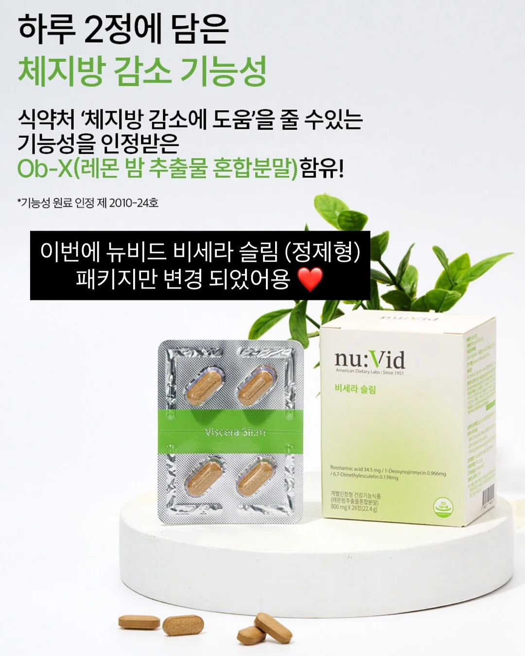 콜로소 클래스 2