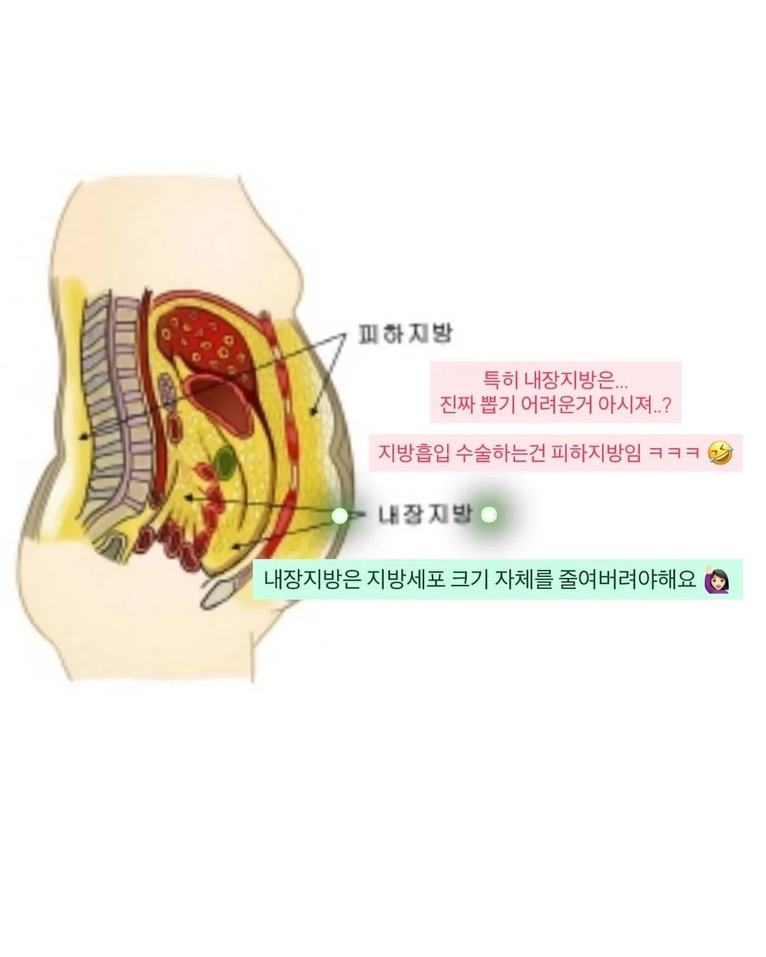 콜로소 클래스 6