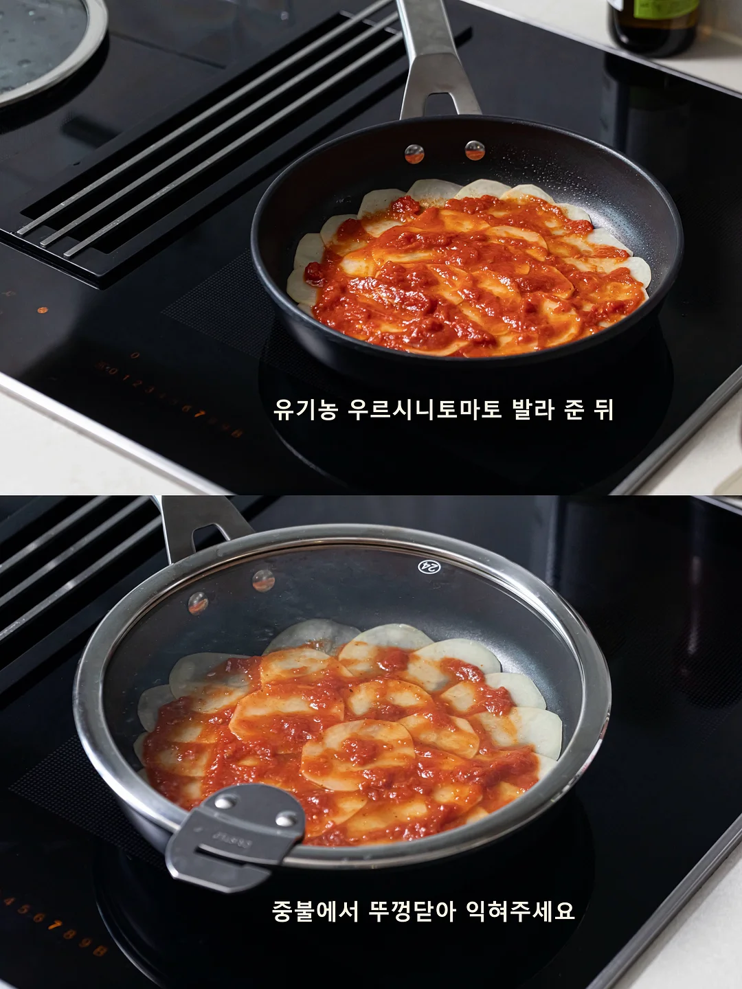 보니토 여름 4