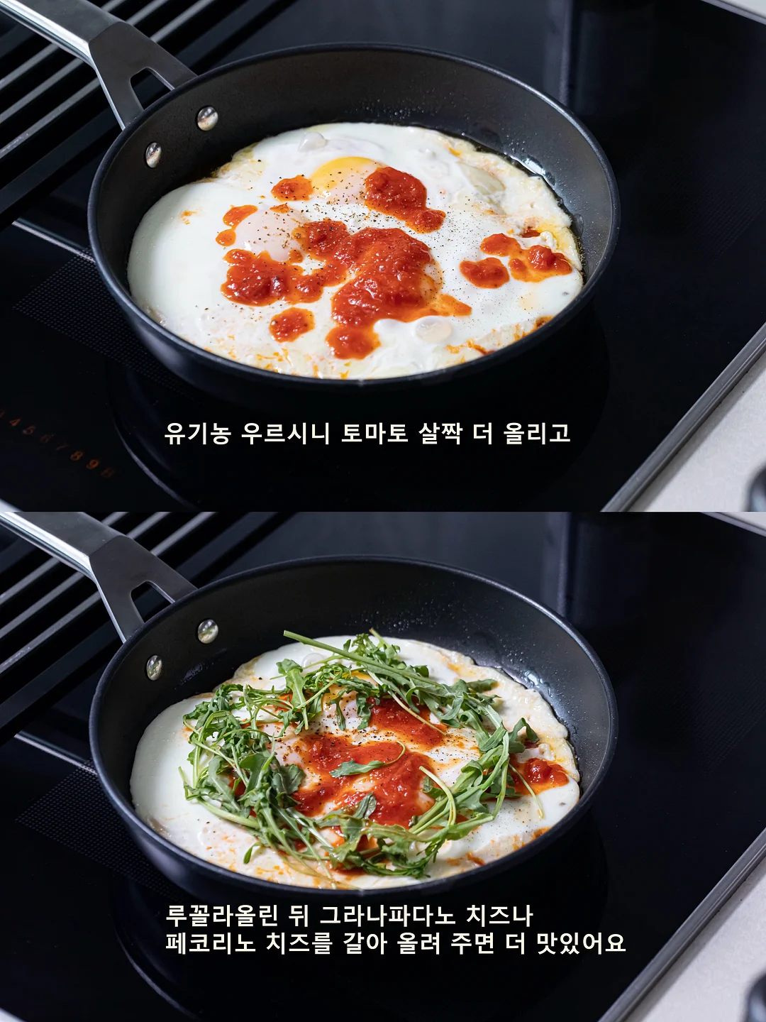 보니토 여름 7
