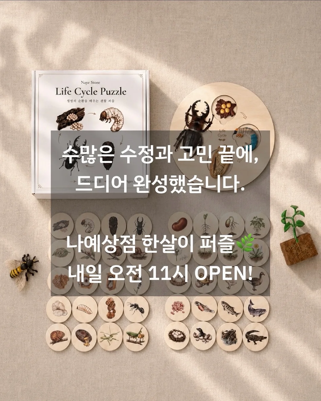 코지윈스 하의 11