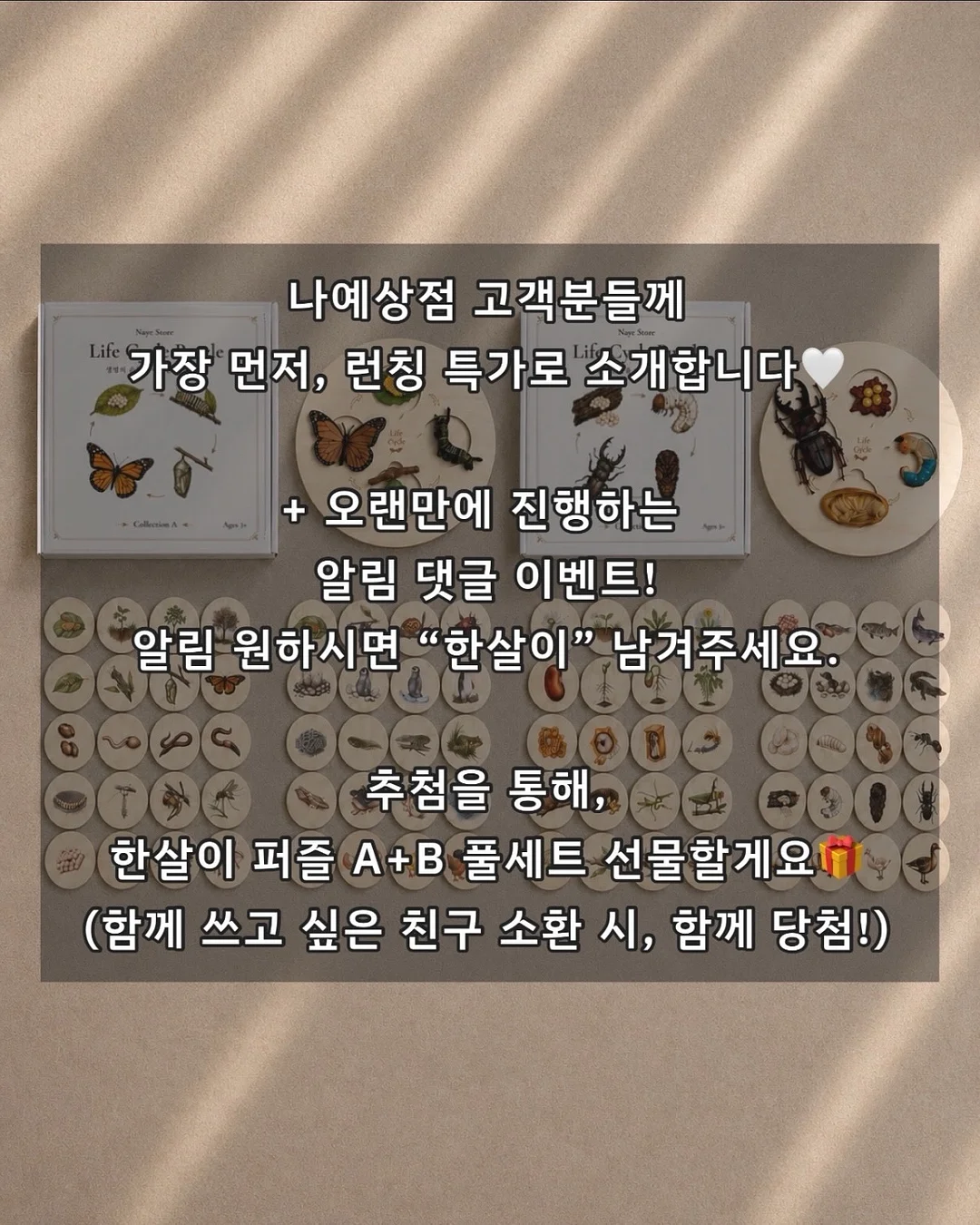 코지윈스 하의 12