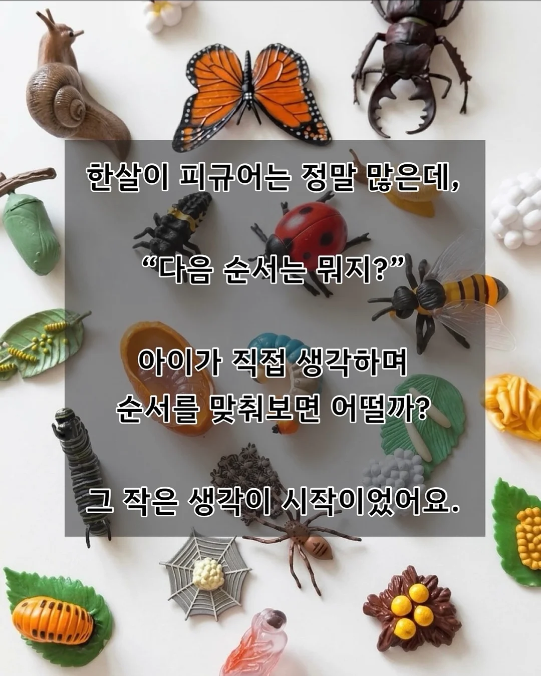 코지윈스 하의 2