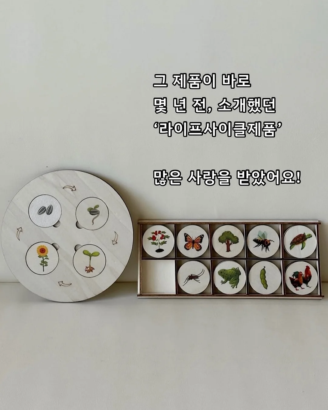 코지윈스 하의 3