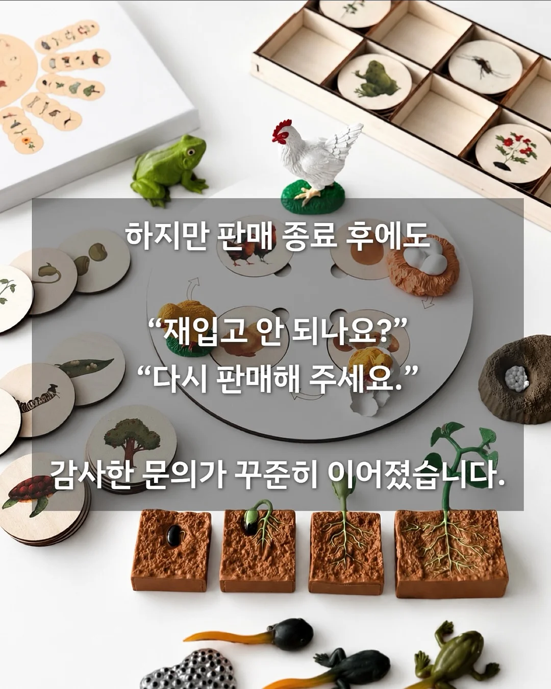 코지윈스 하의 5