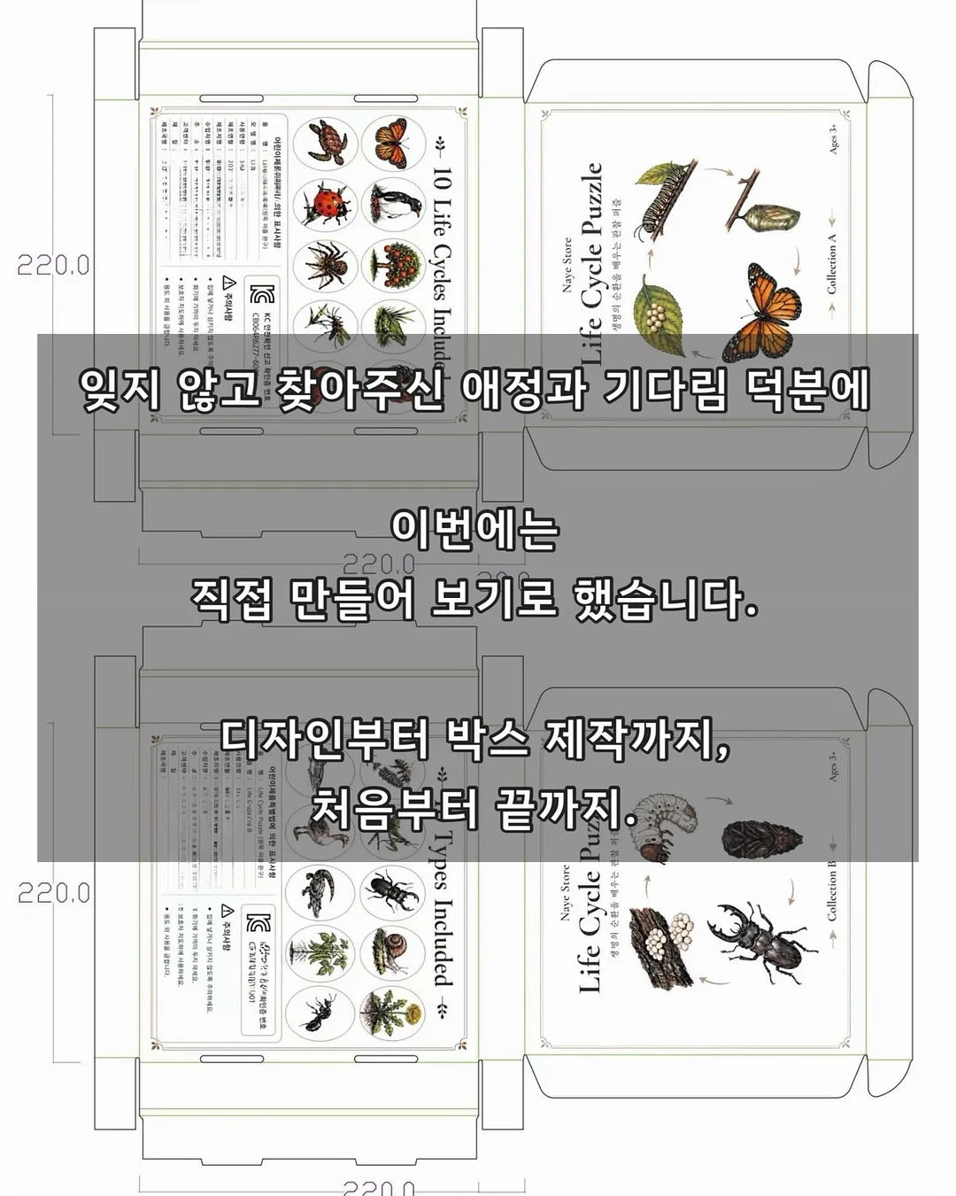 코지윈스 하의 6