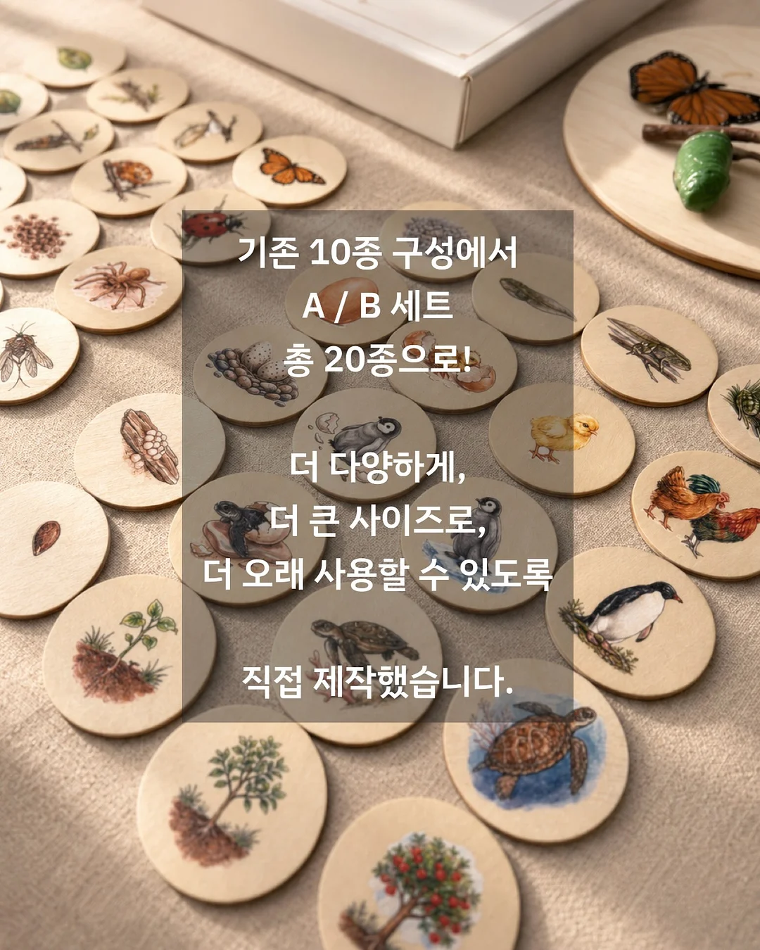 코지윈스 하의 8