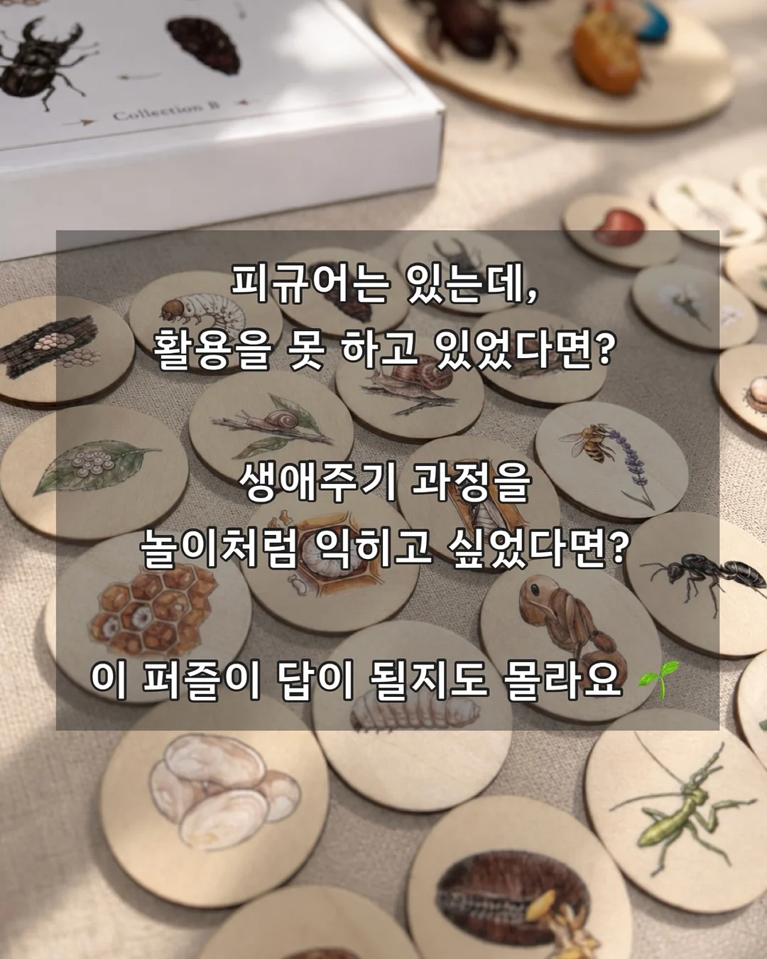 코지윈스 하의 9