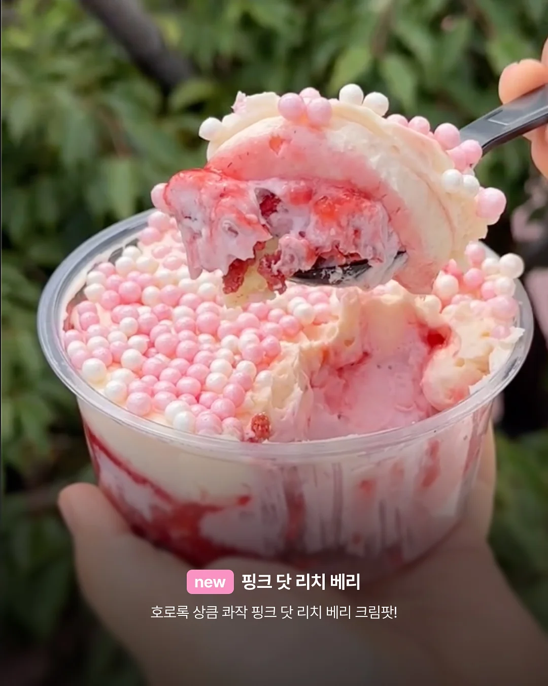 링거티 6