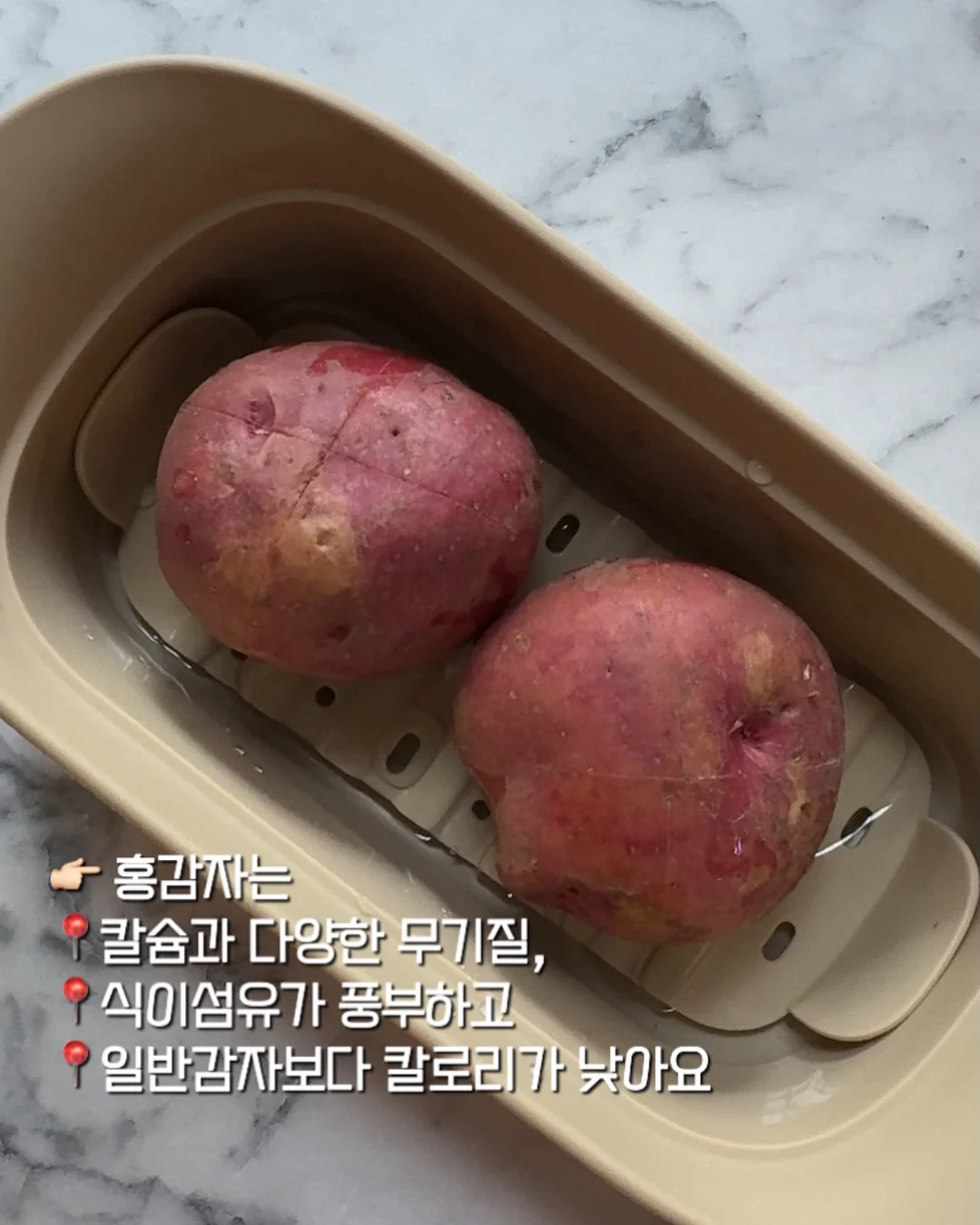 자석젤 이벤트 1