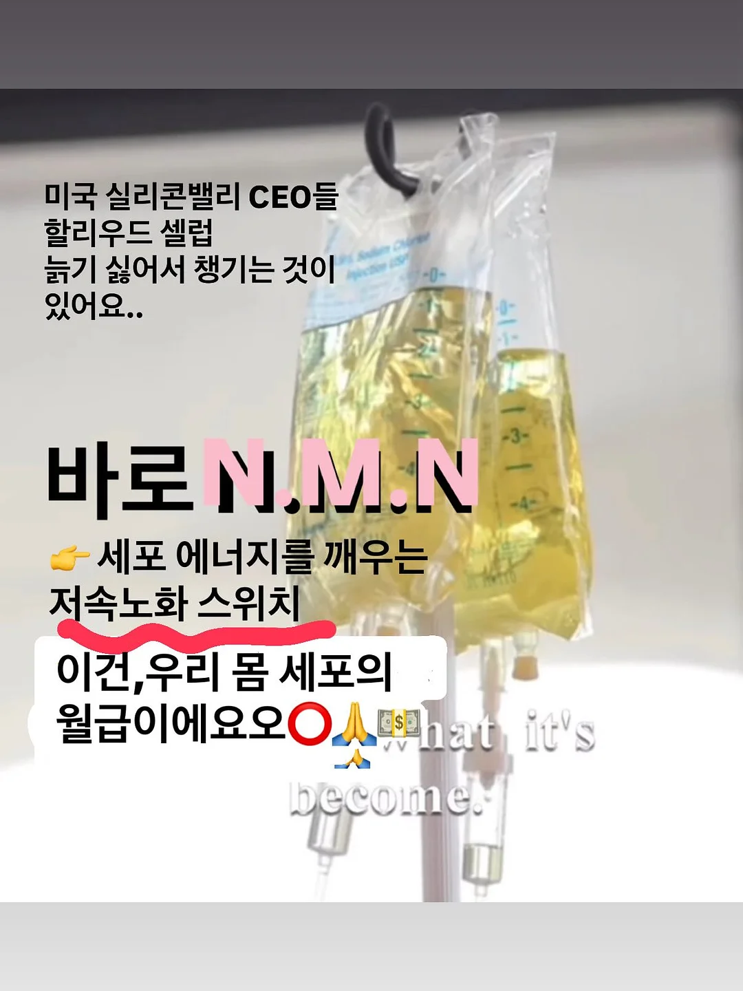 누군가의 서러운 울음이 묻어난 베개 키링 2