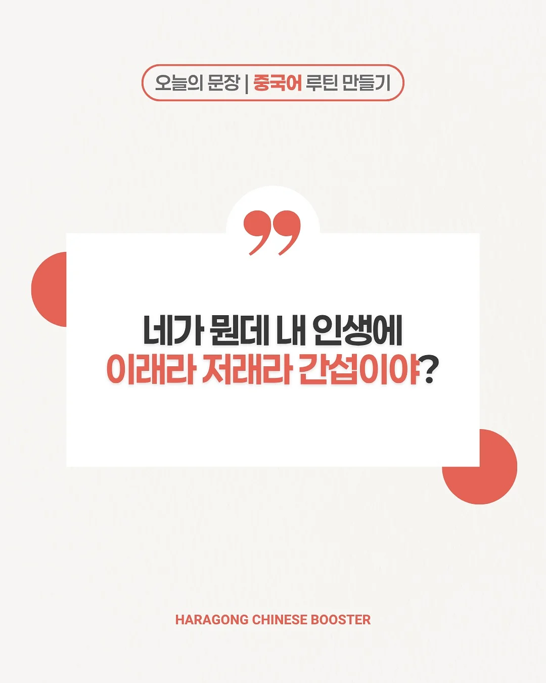 슈슈통 가디건 4