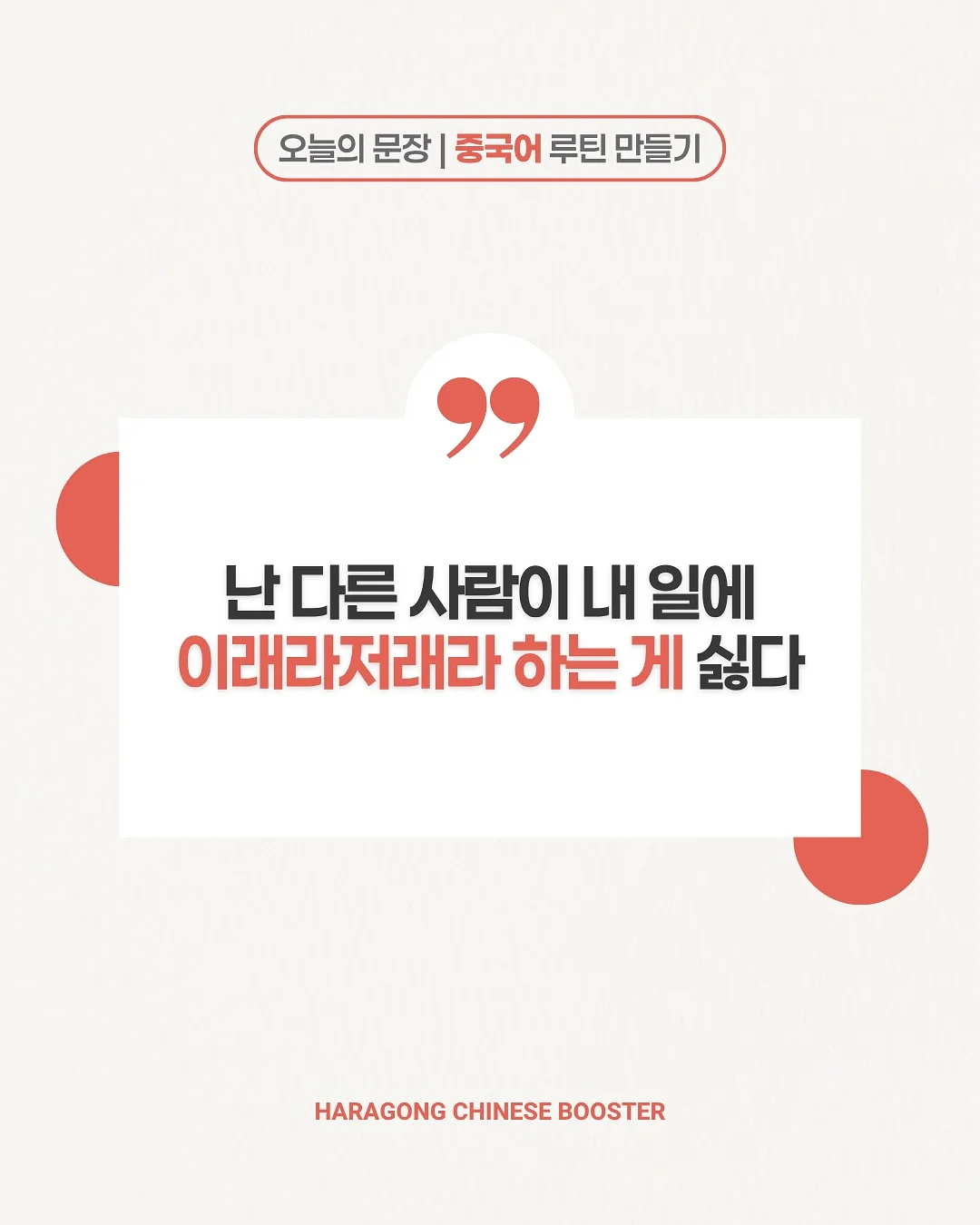 슈슈통 가디건 6