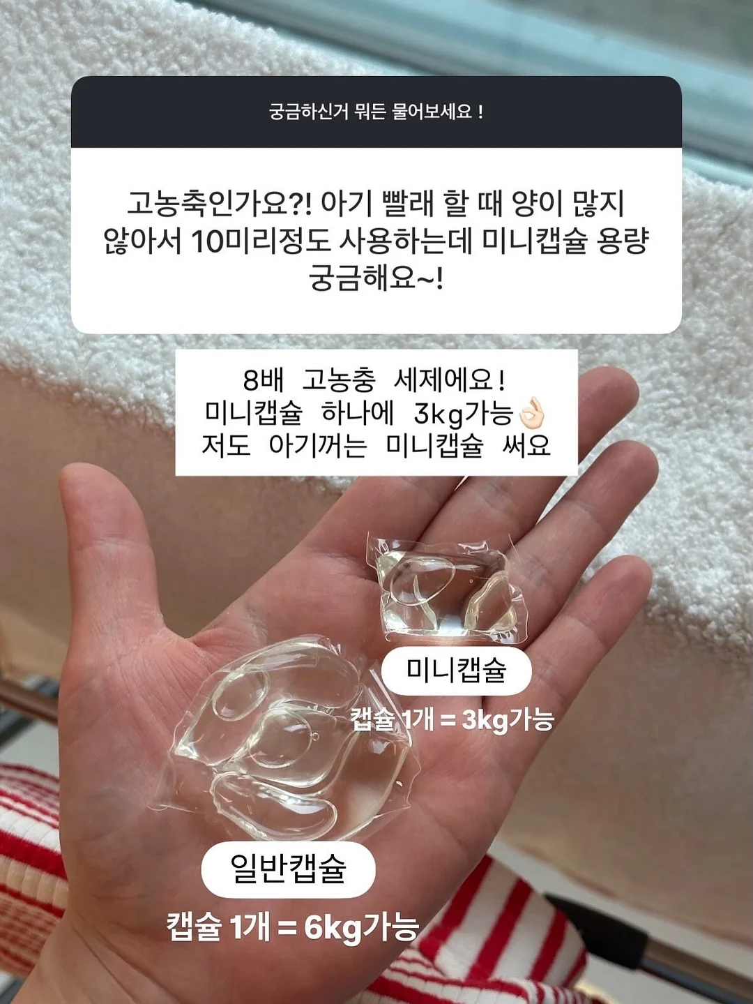 화이트리에 식빵 19