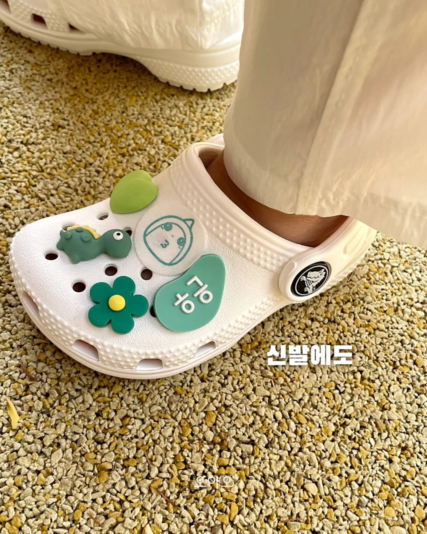 스피드 캣 고 신발 14