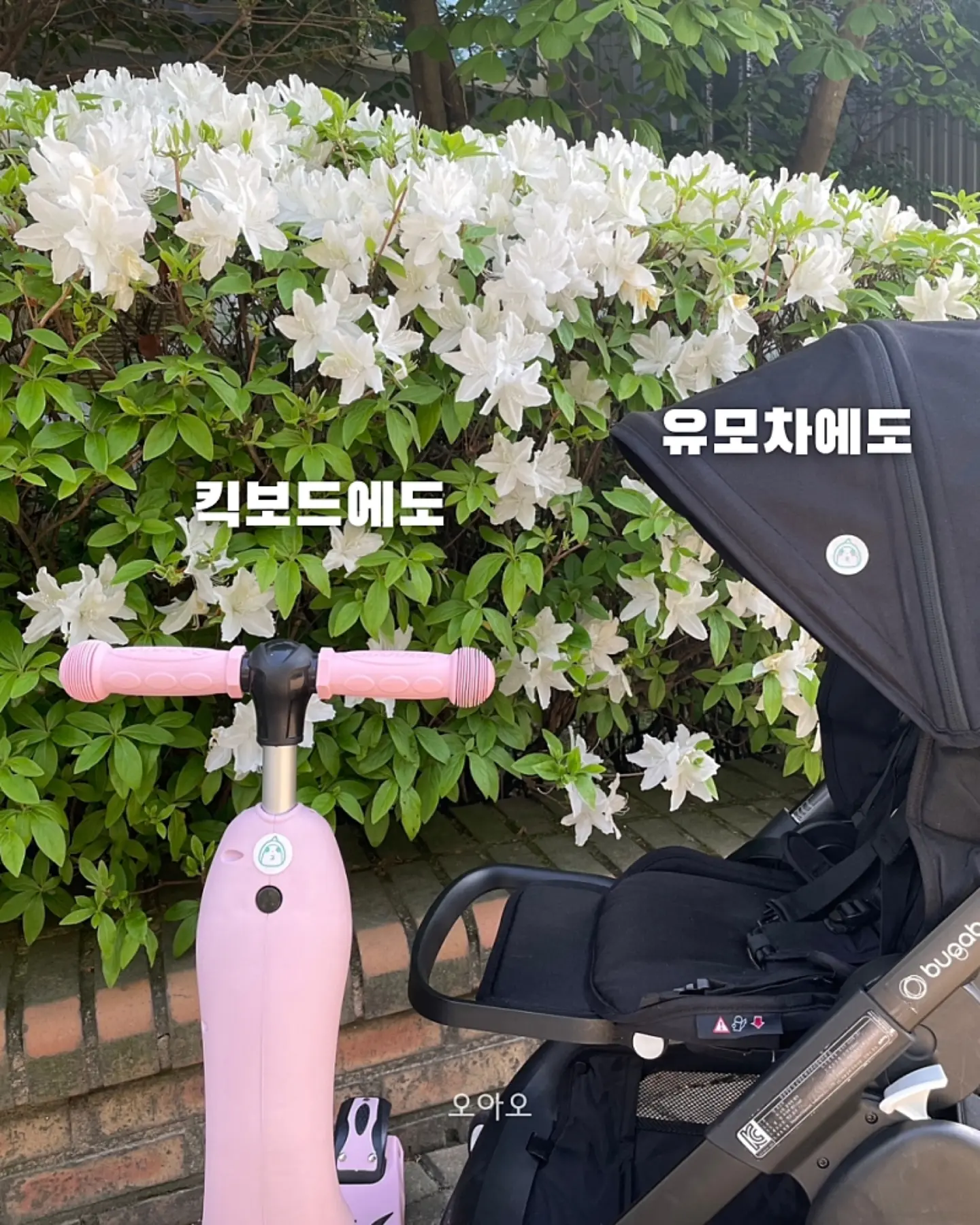 스피드 캣 고 신발 15