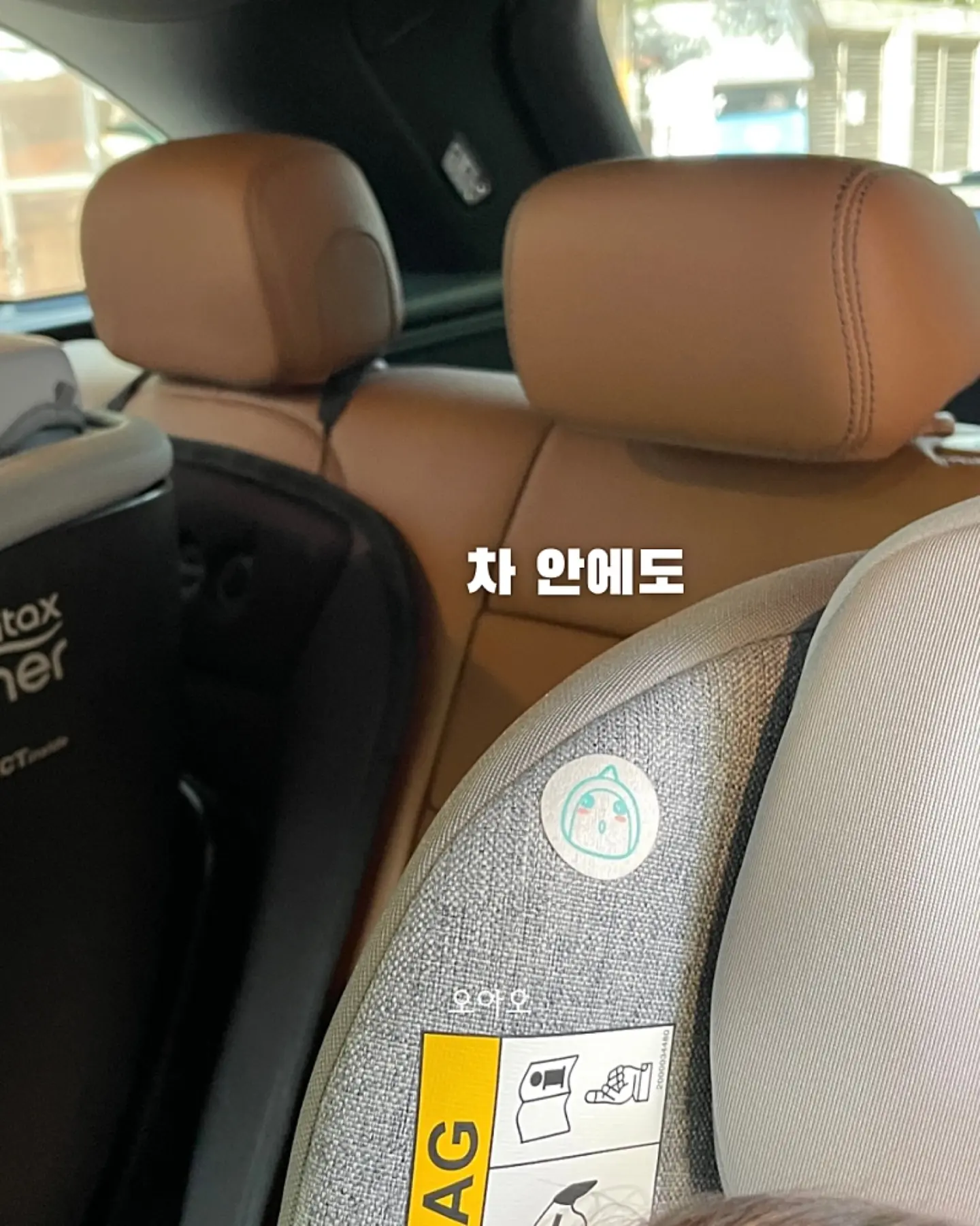 스피드 캣 고 신발 17