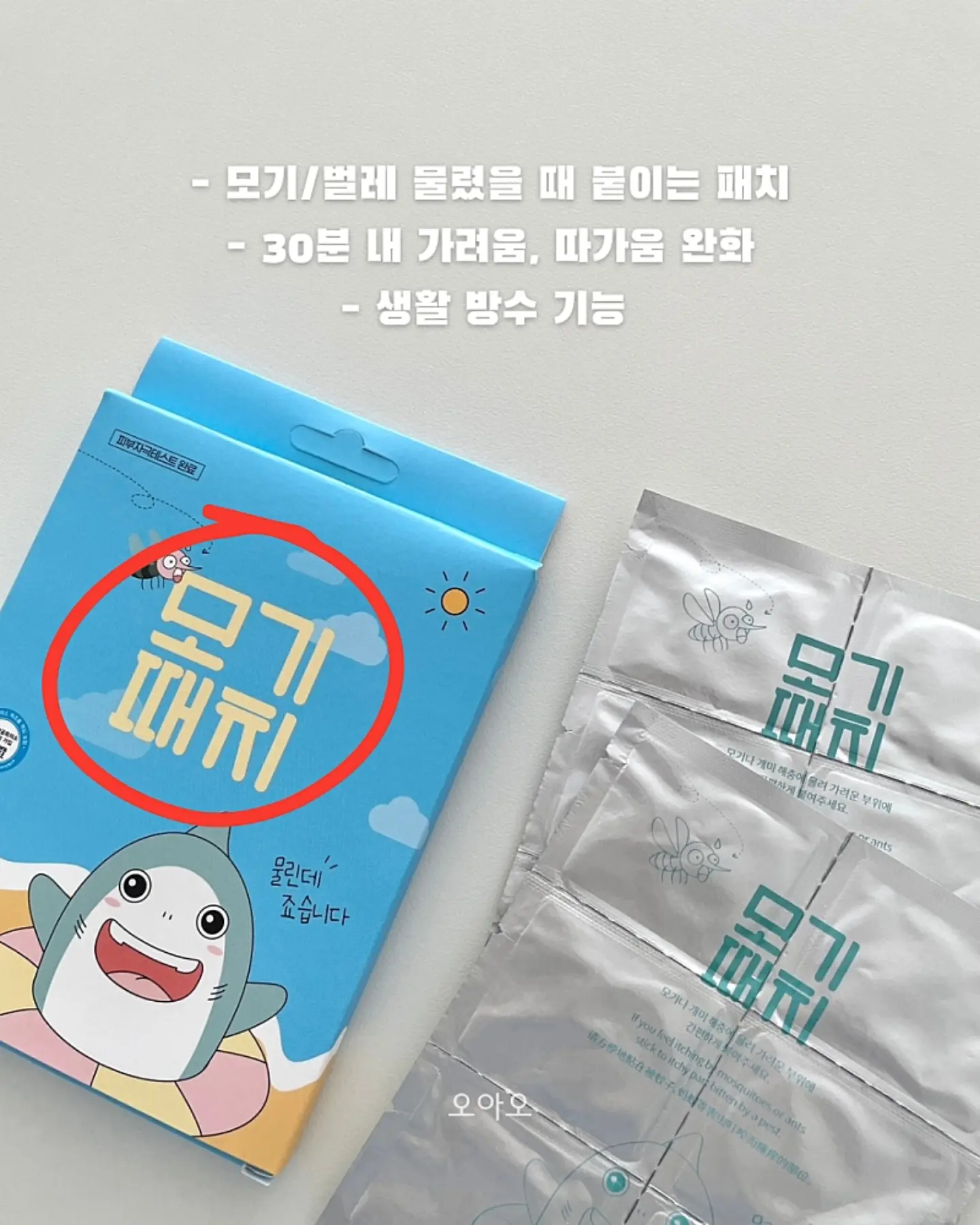 스피드 캣 고 신발 8