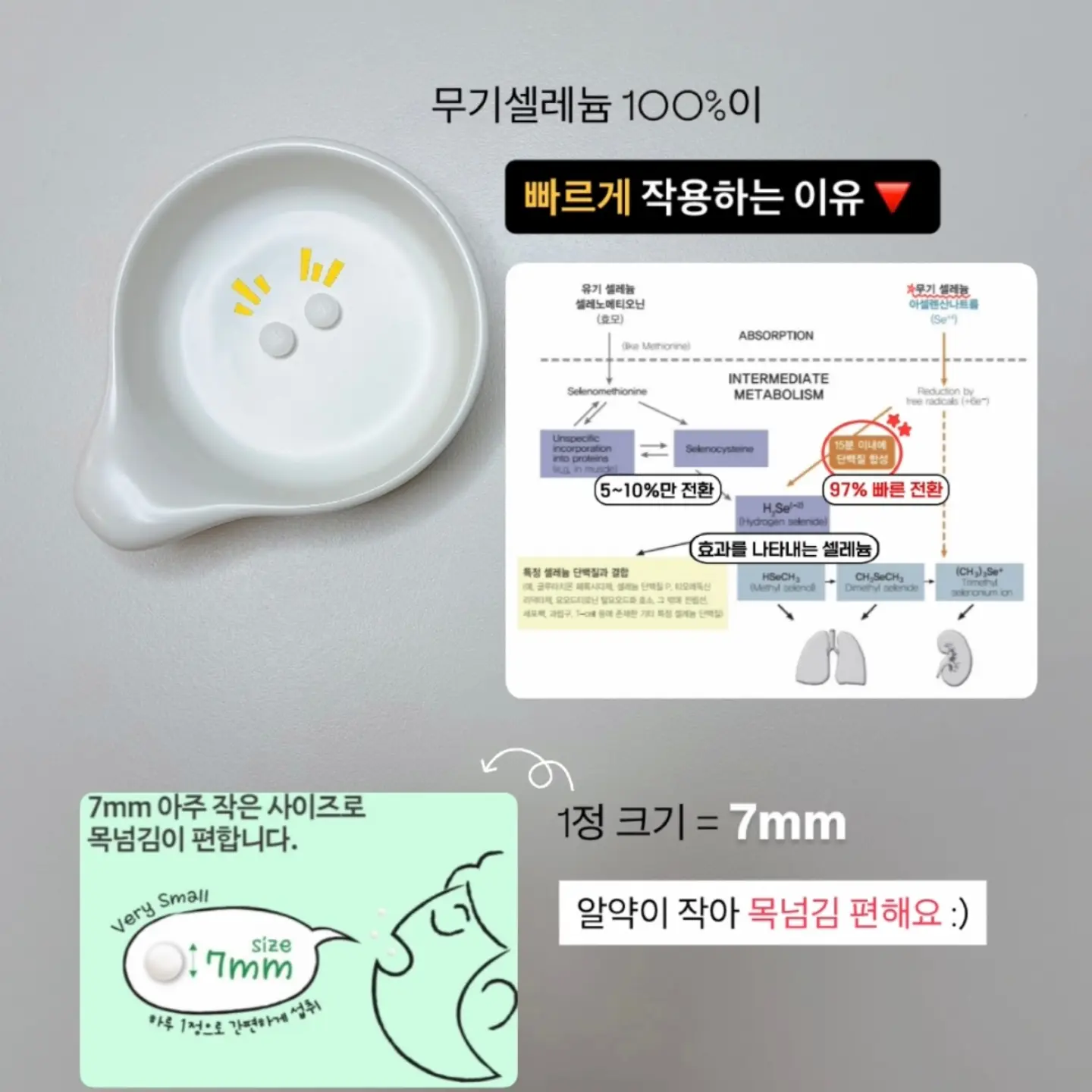 오프키데이 5