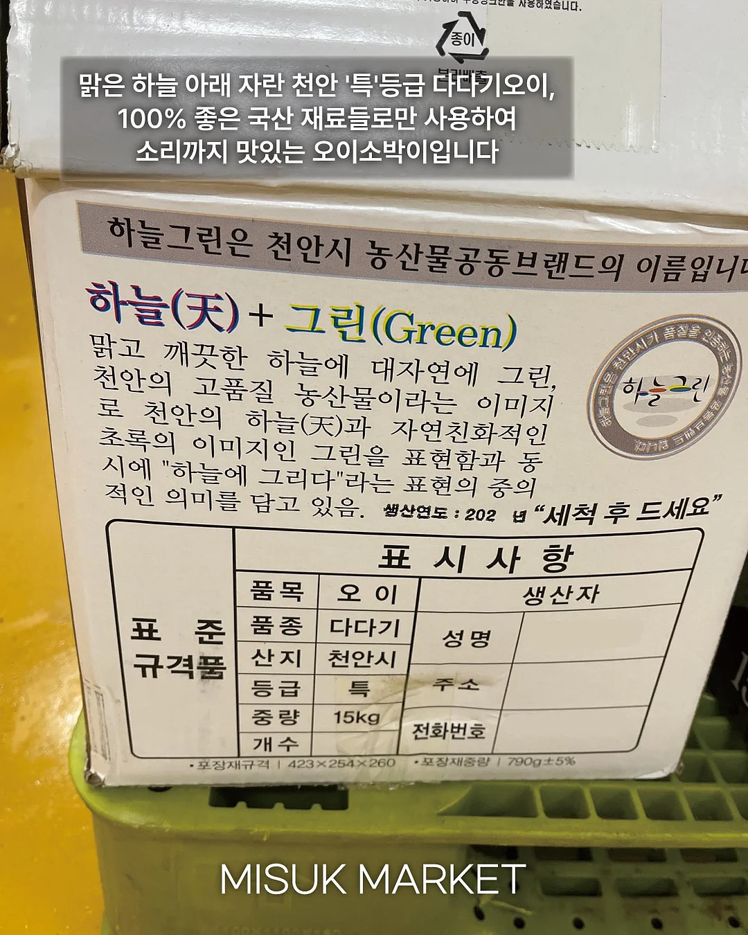 덴섬 식물 3