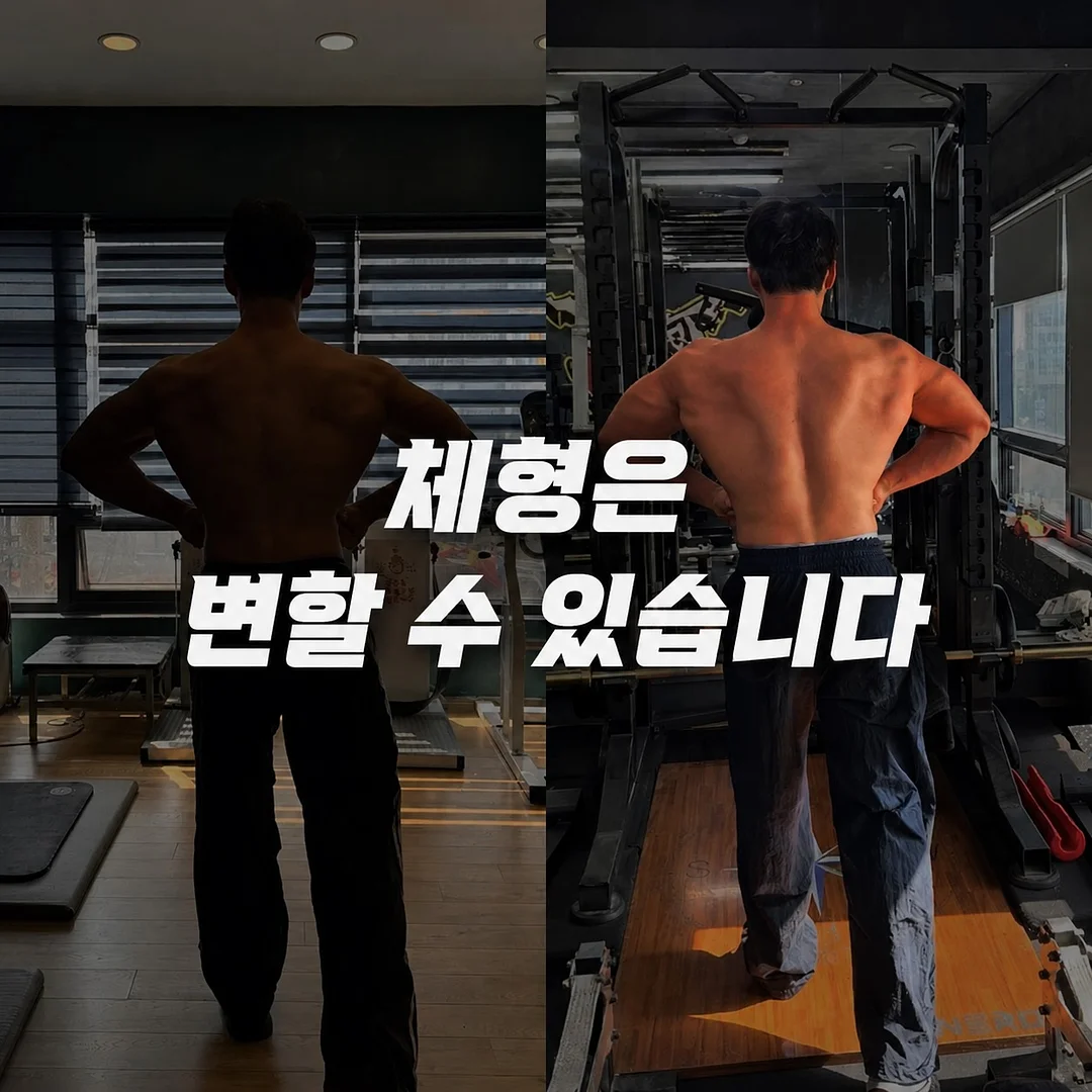 양파 1