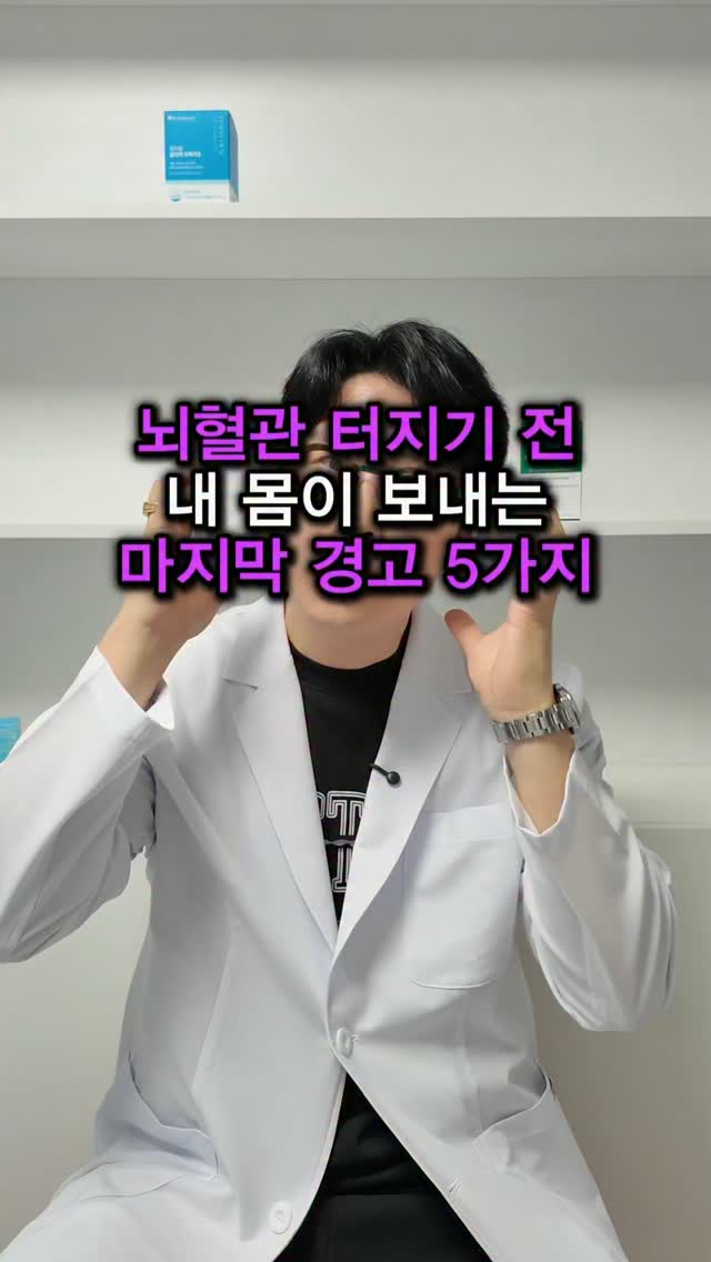 레이어드 홀터나시