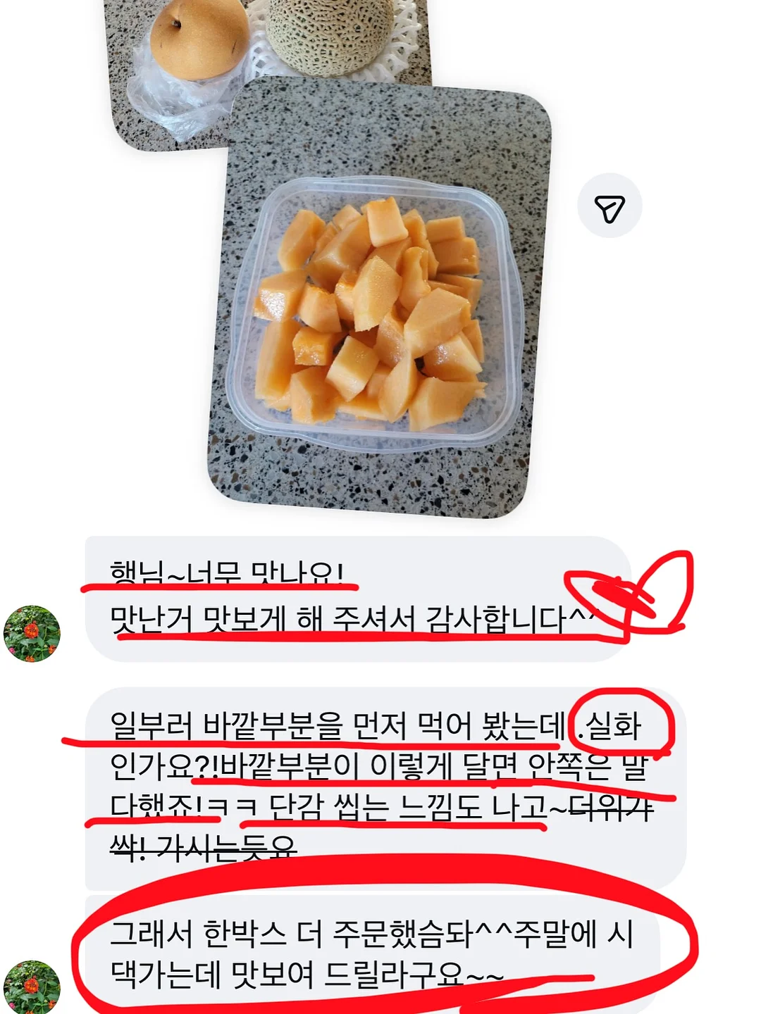 썸머튜튜 하네스 1