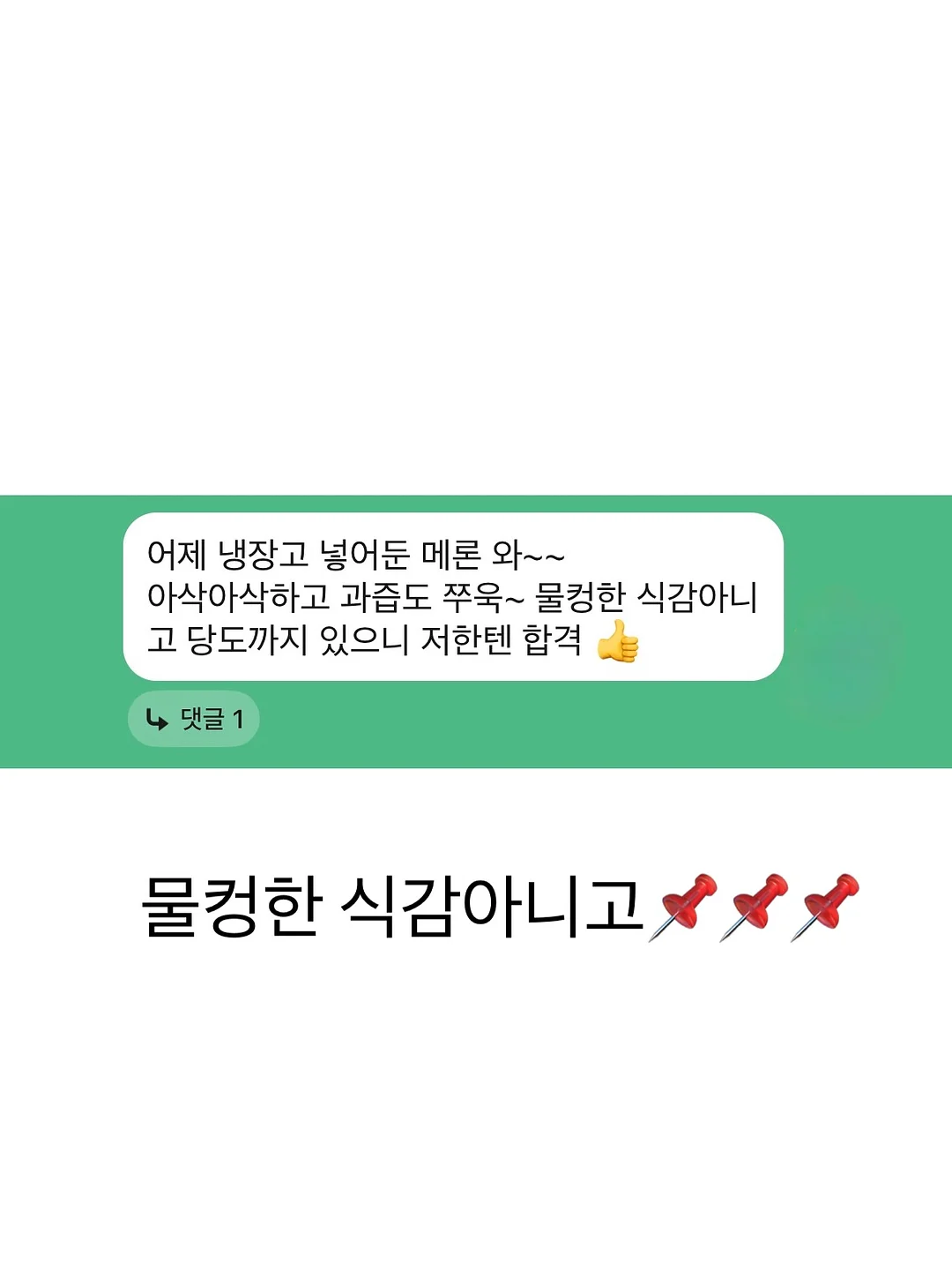 썸머튜튜 하네스 2