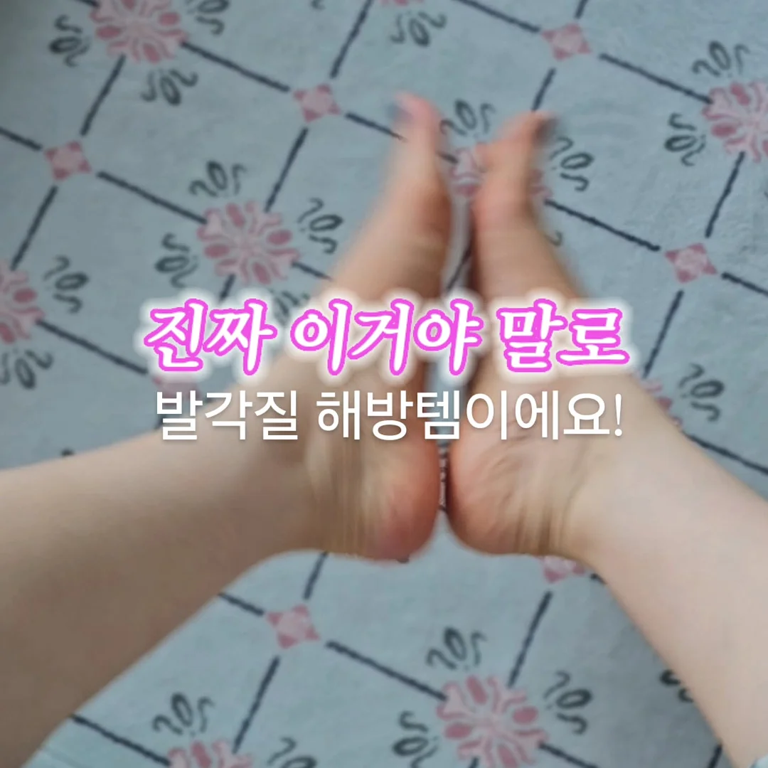 두부 케이크 10