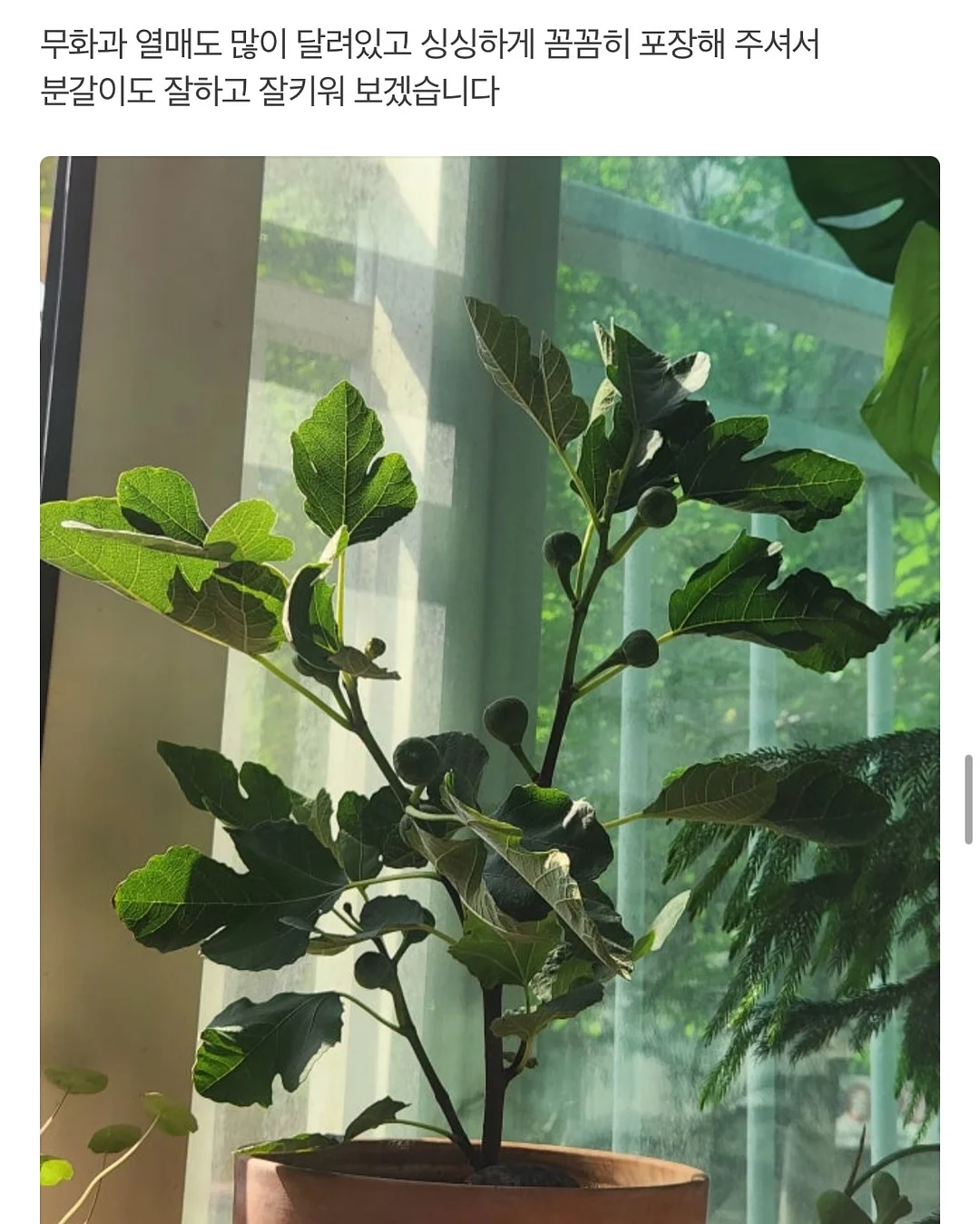 오아연청부츠컷데님 11
