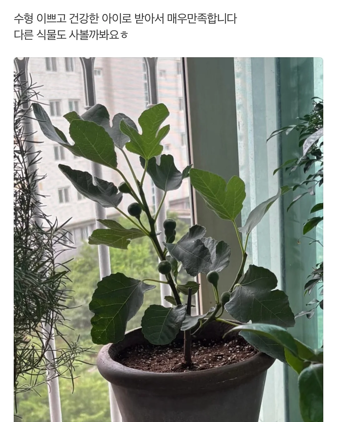 오아연청부츠컷데님 13