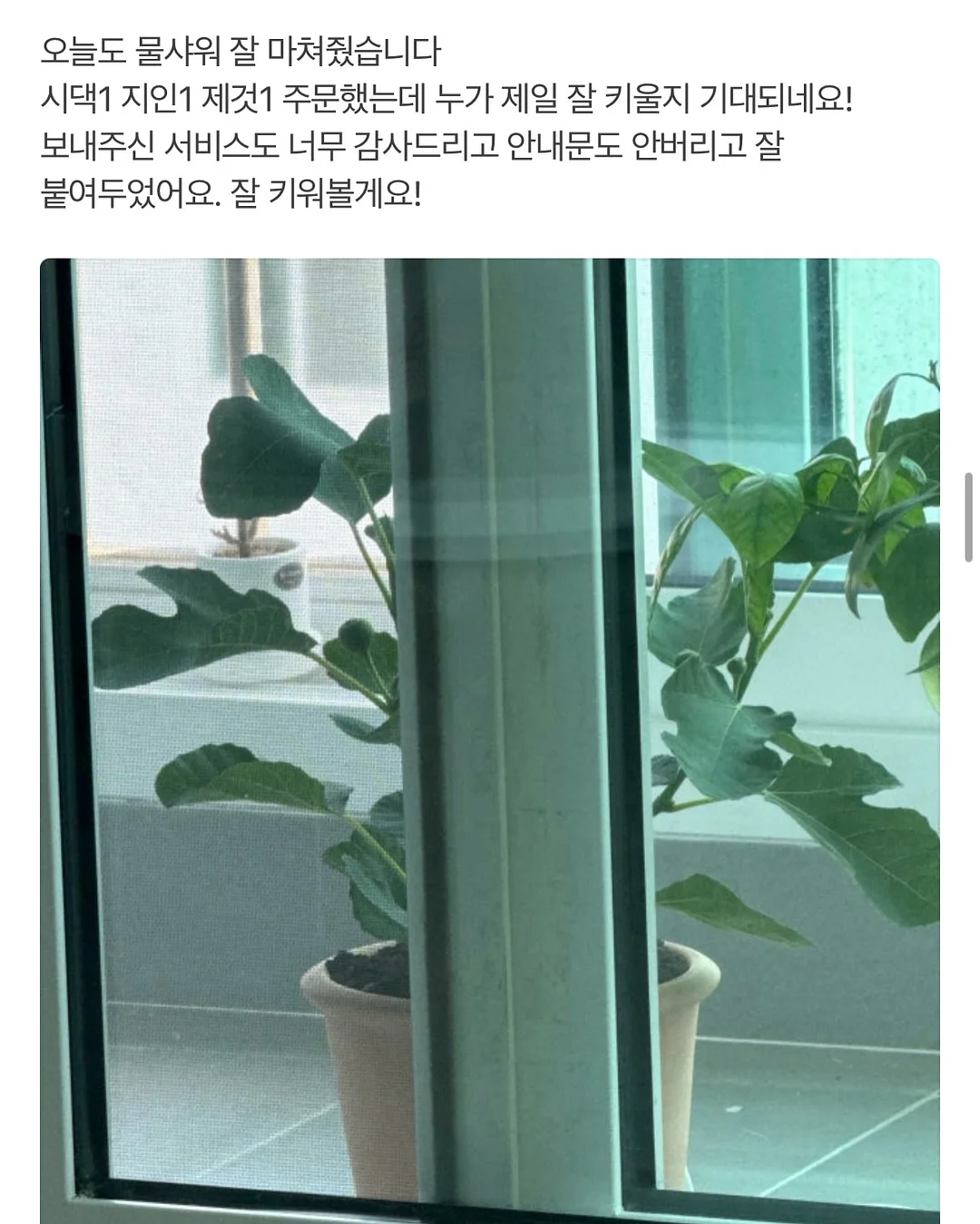 오아연청부츠컷데님 14