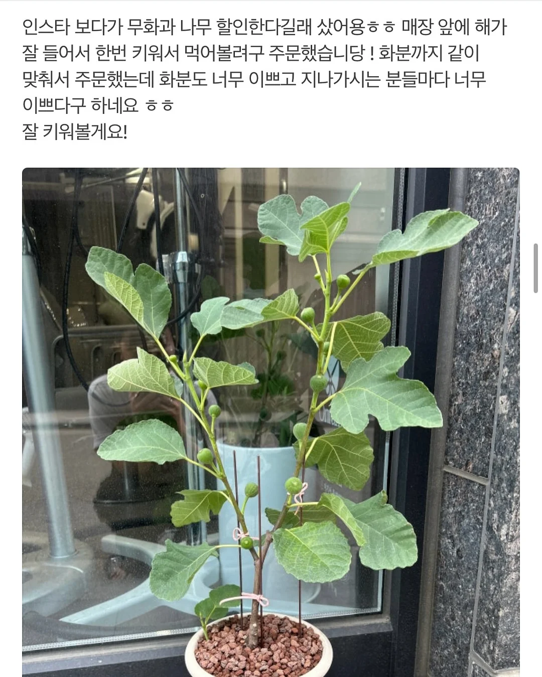 오아연청부츠컷데님 15