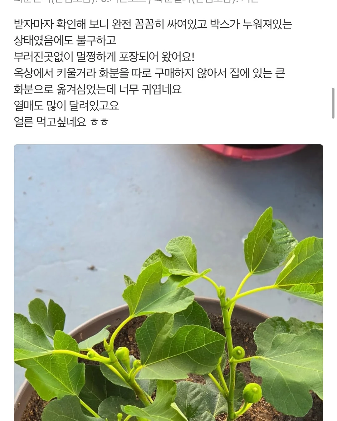 오아연청부츠컷데님 16