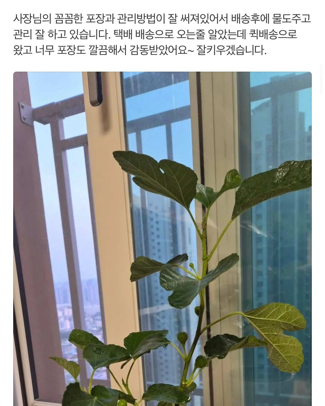오아연청부츠컷데님 17