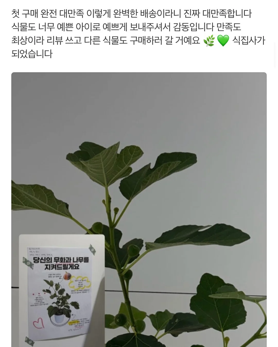 오아연청부츠컷데님 18