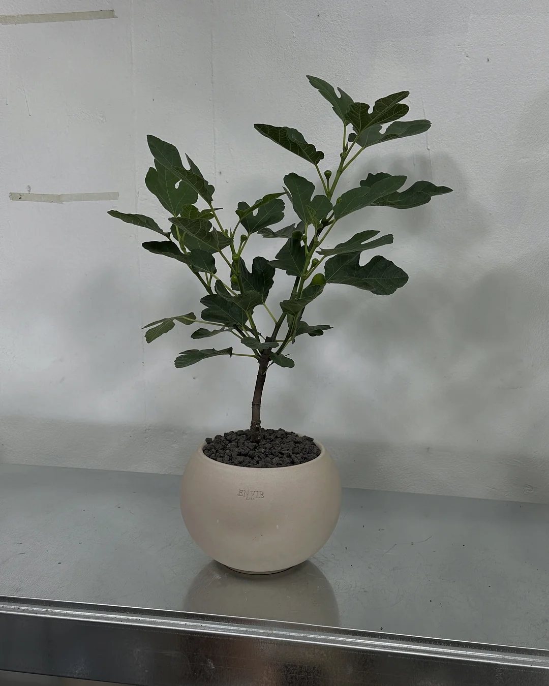 오아연청부츠컷데님 7