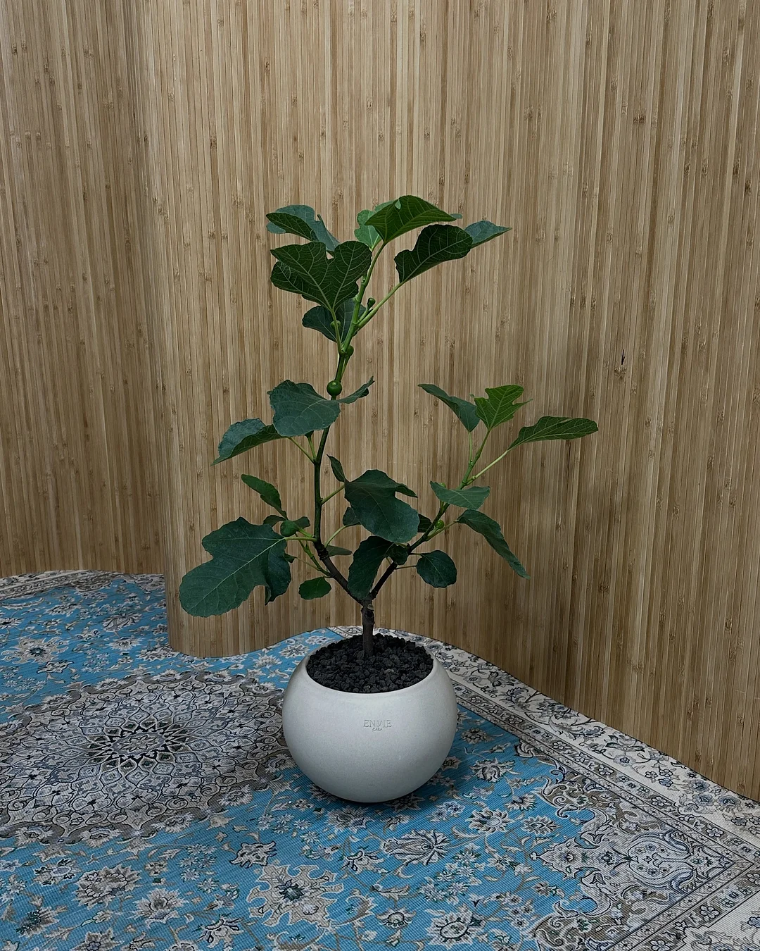 오아연청부츠컷데님 8