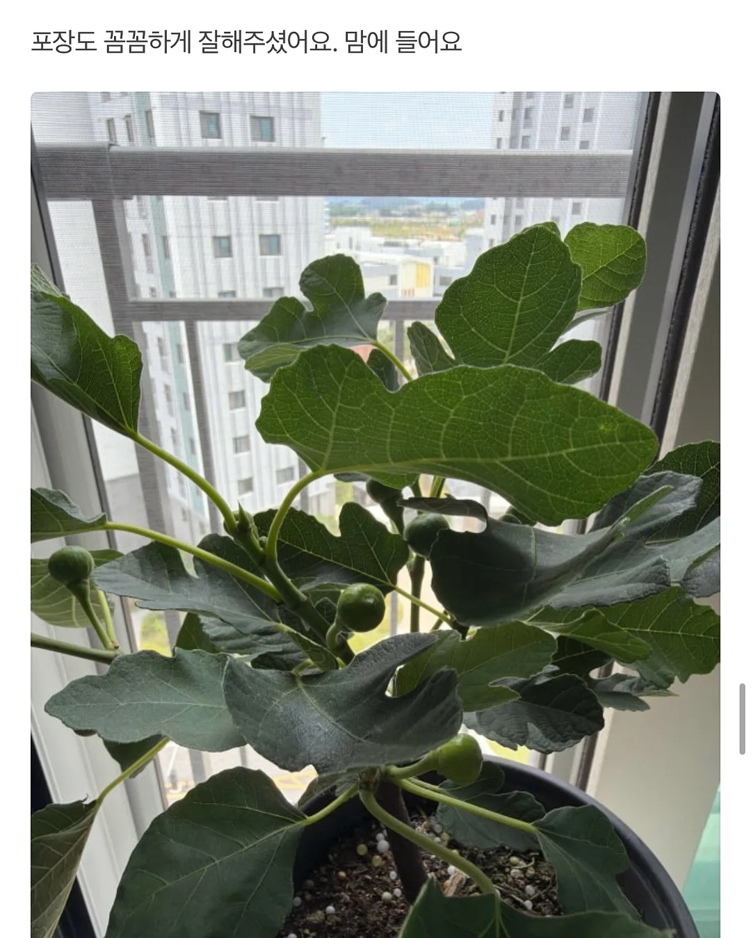 오아연청부츠컷데님 10