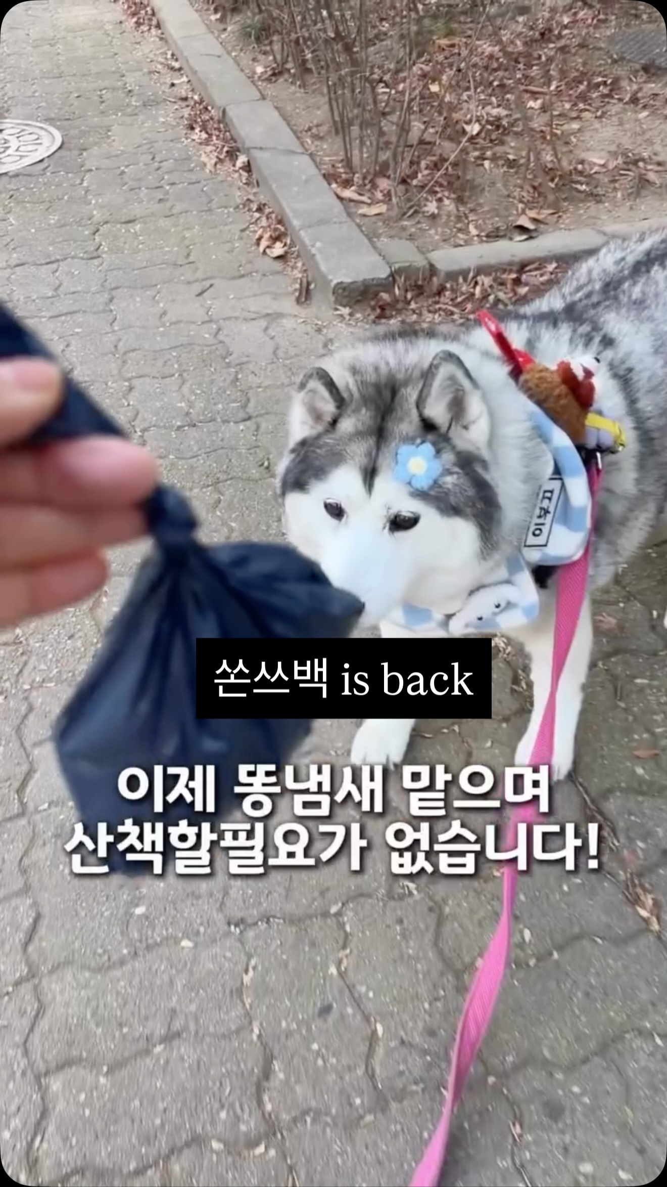 아이닉 올케어 분유포트