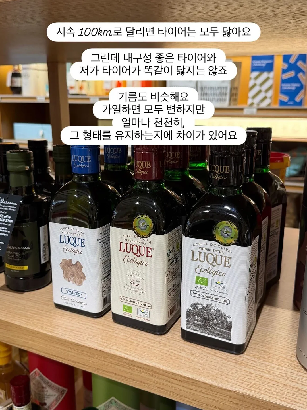 스펀지밥 비키니시티 랜덤 마그넷 13